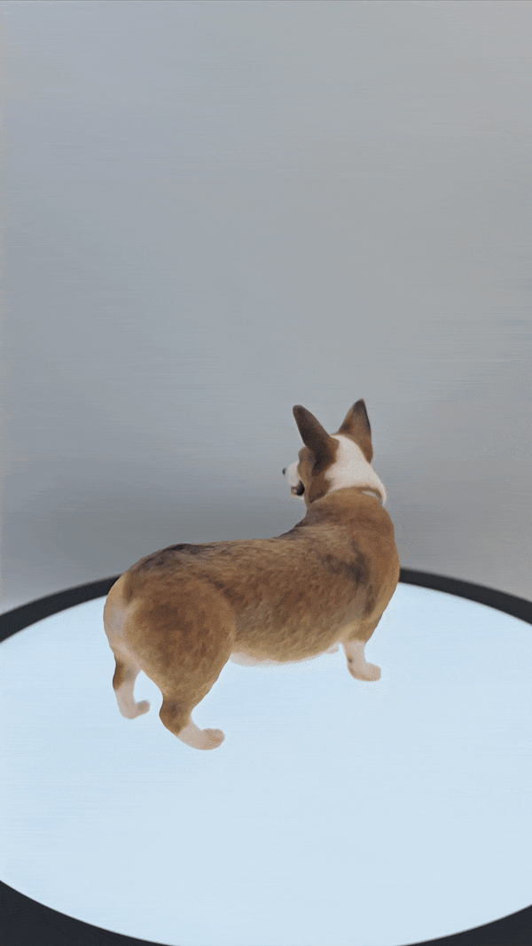 Minify - Turning Memories into Masterpieces