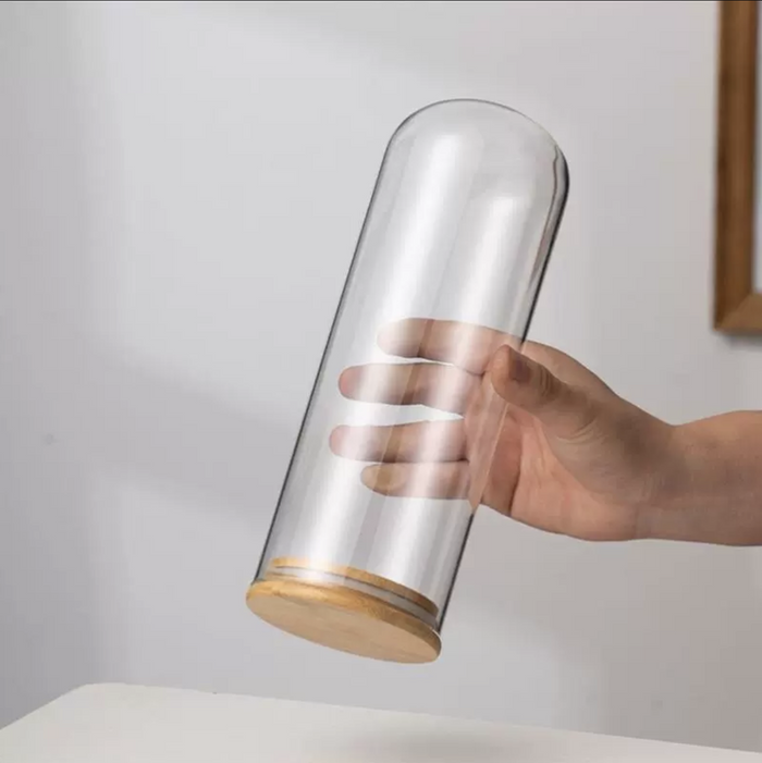 Glass Dome with Dustproof Seal – Minify